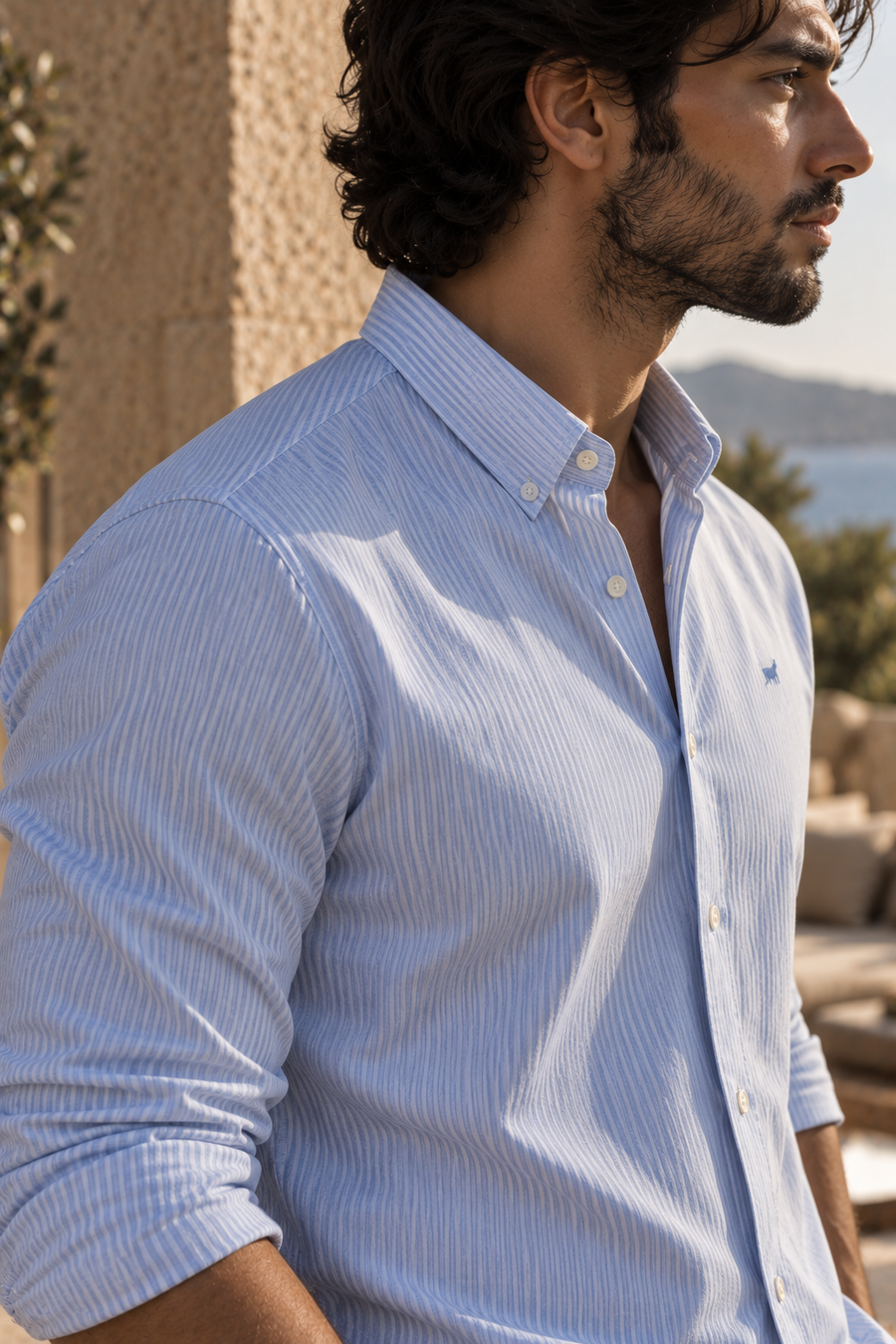 Indigo Stripes Button Down Shirt