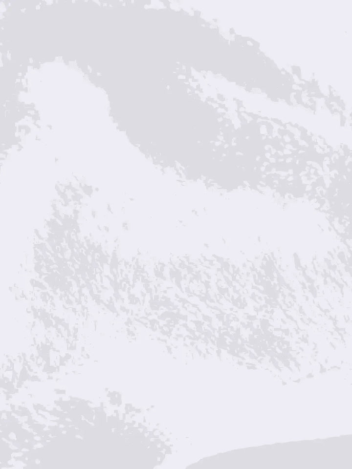 PACK OF 2) Bamboo Cotton Hand Towels