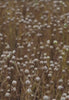 Braclo cotton craftsmanship video