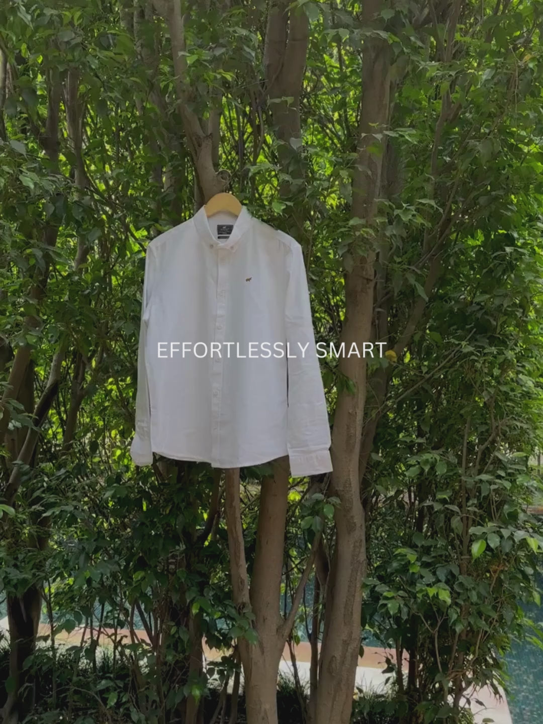 Shirts collection banner video
