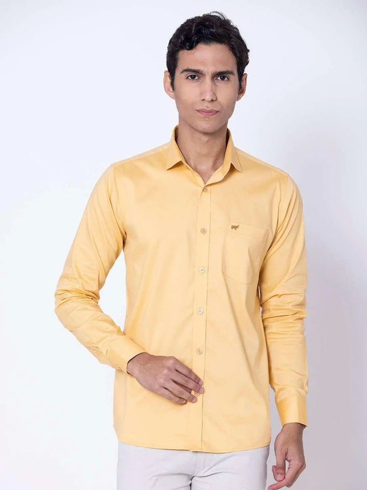 Regular Fit Casual Shirt