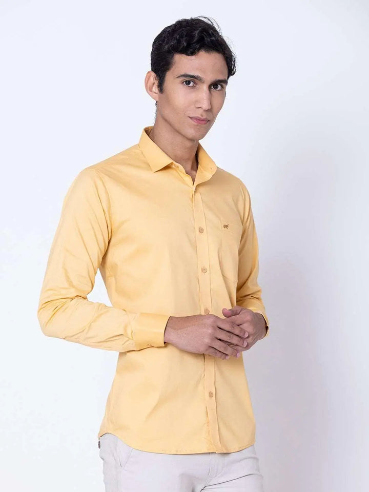 Regular Fit Casual Shirt